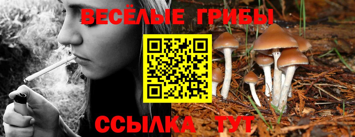 Бор  Галлюциногенные грибы Magic Shrooms  Вход с VPN  Псилоцибиновые грибы Magic Shrooms 